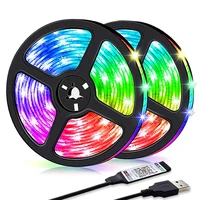 led strip lights bluetooth control rgb 2835 usb flexible lamp tape ribbon diode for room party luces tv desk decor luz fita led