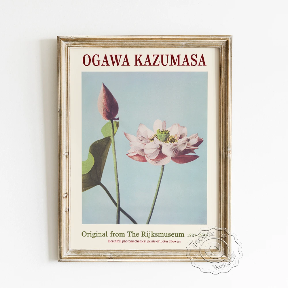 

Выставочная фотография Ogawa Kazumasa, красивые фотомеханические принты цветов лотоса, картина для современного домашнего декора