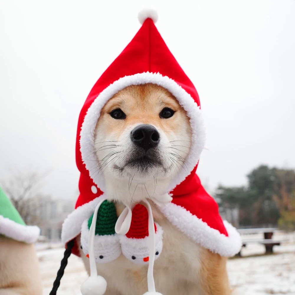Теплая мягкая накидка с капюшоном для собаки на Рождество зеленая плащ кошек