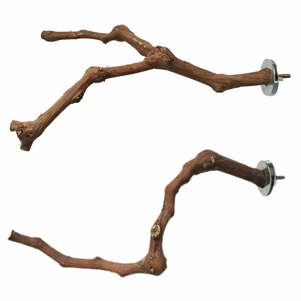 

Parrot Bird Stand Tree Branch Resk Holder Pet Budgie Toys Perches Climbing Grinding