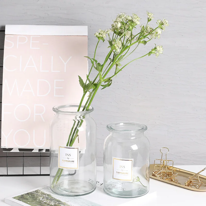

Nordic Design Glass Vase European Decoration Home Flower Transparent Flowers Arrangement Hydroponic Tabletop Vase Flower Decor