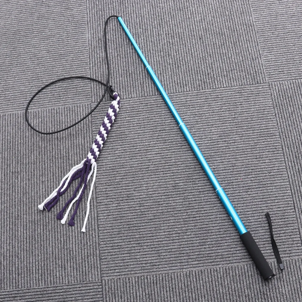 

Interactive Dog Toys Extendable Flirt Pole Funny Chasing Tail Teaser and Exerciser for Pets Size (Blue)