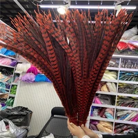 hot sale 100pcslot high quality red pheasant feathers 90 100cm party christmas dancers jewelry plume