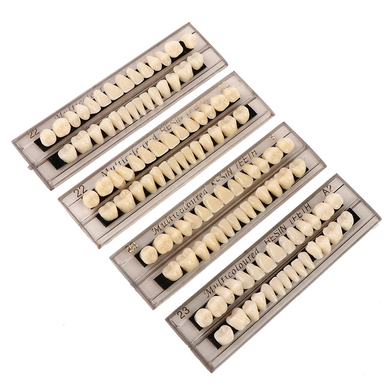 

28Pcs/Set Resin Teeth Model Durable Dentures Universal Resi False Teeth Dental Material Teeth Teaching Model Dedicated Teeth