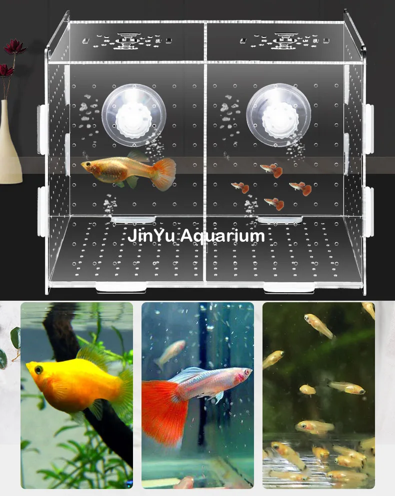 Aquarium fish hatch box guppy baby sick separate hatchery isolate protect separately arcylic aquarium tank | Дом и сад