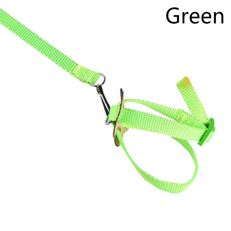 

Parrot Bird Traction Rope 8-Shaped Sling Traction Training Ropes Hamster Tortoise Lizard Walking Ropes Anti Bite Pets Supplies