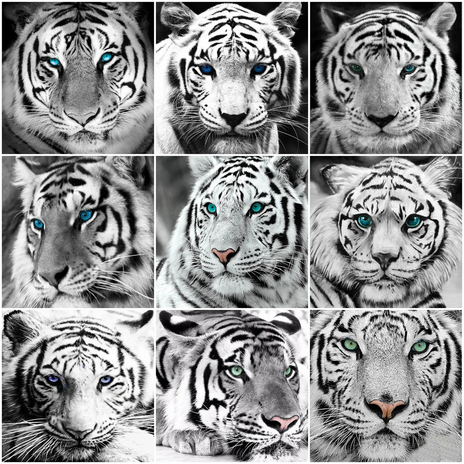 

HUACAN 5D DIY Diamond Painting Tiger Mosaic Diamond Animal Full Square Round Rhinestone Picture Cross Stitch Home Decor