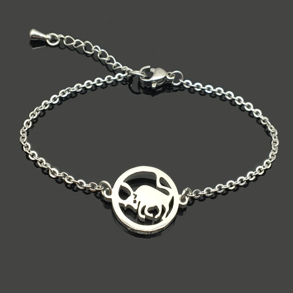 Подвеска из нержавеющей стали для женщин и девушек|Браслеты с шармами| |