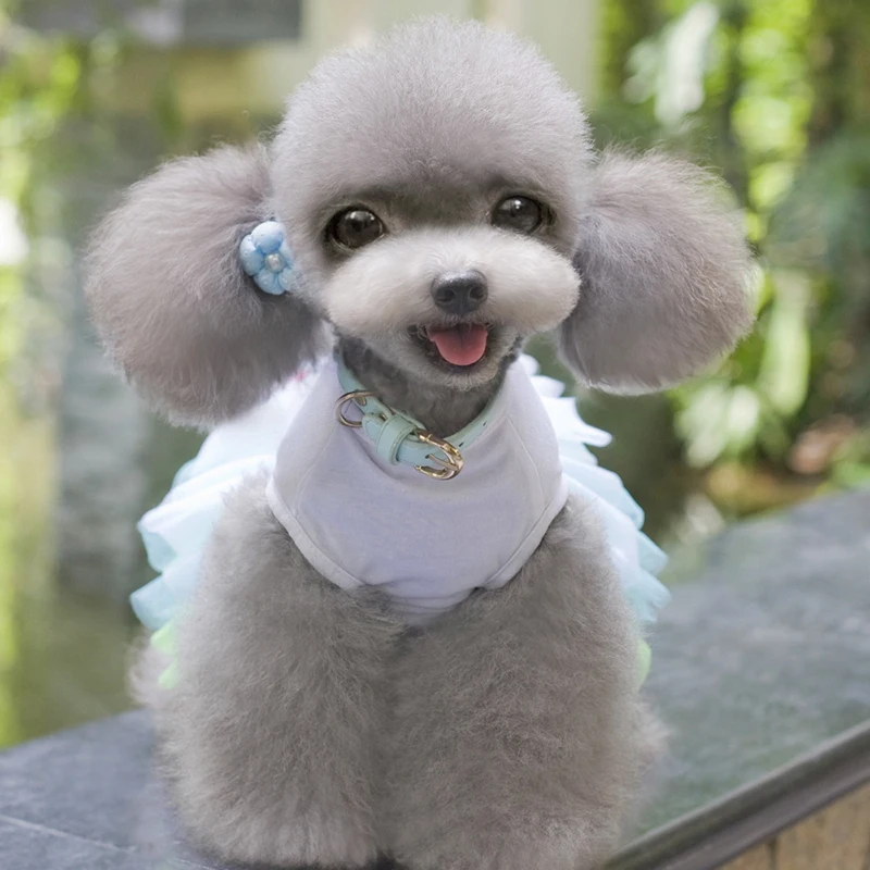 Новинка одежда для домашних животных платье собаки губы Милая Пряжа юбка