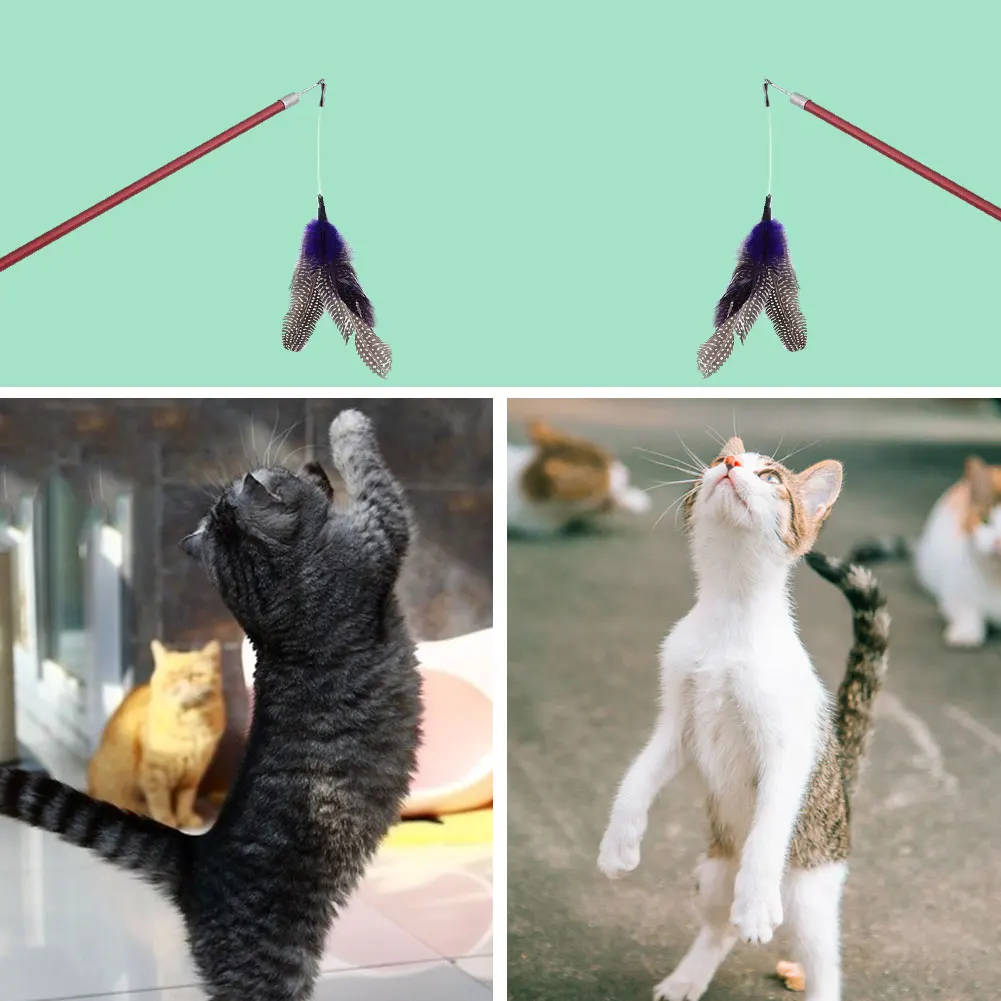 Bird Feather Pet Cat Black Kitten Toy Refills Wand Toys New Scalable Da Dog | Дом и сад