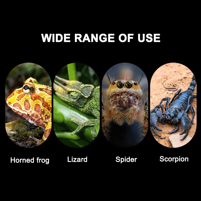 Дышащий сетчатый гамак для рептилий шезлонг маленьких медведей драконов ящериц