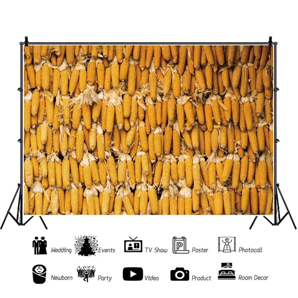 Laeacco осень для фермы кукурузы Cob награда сцена фотографии пейзажные картины