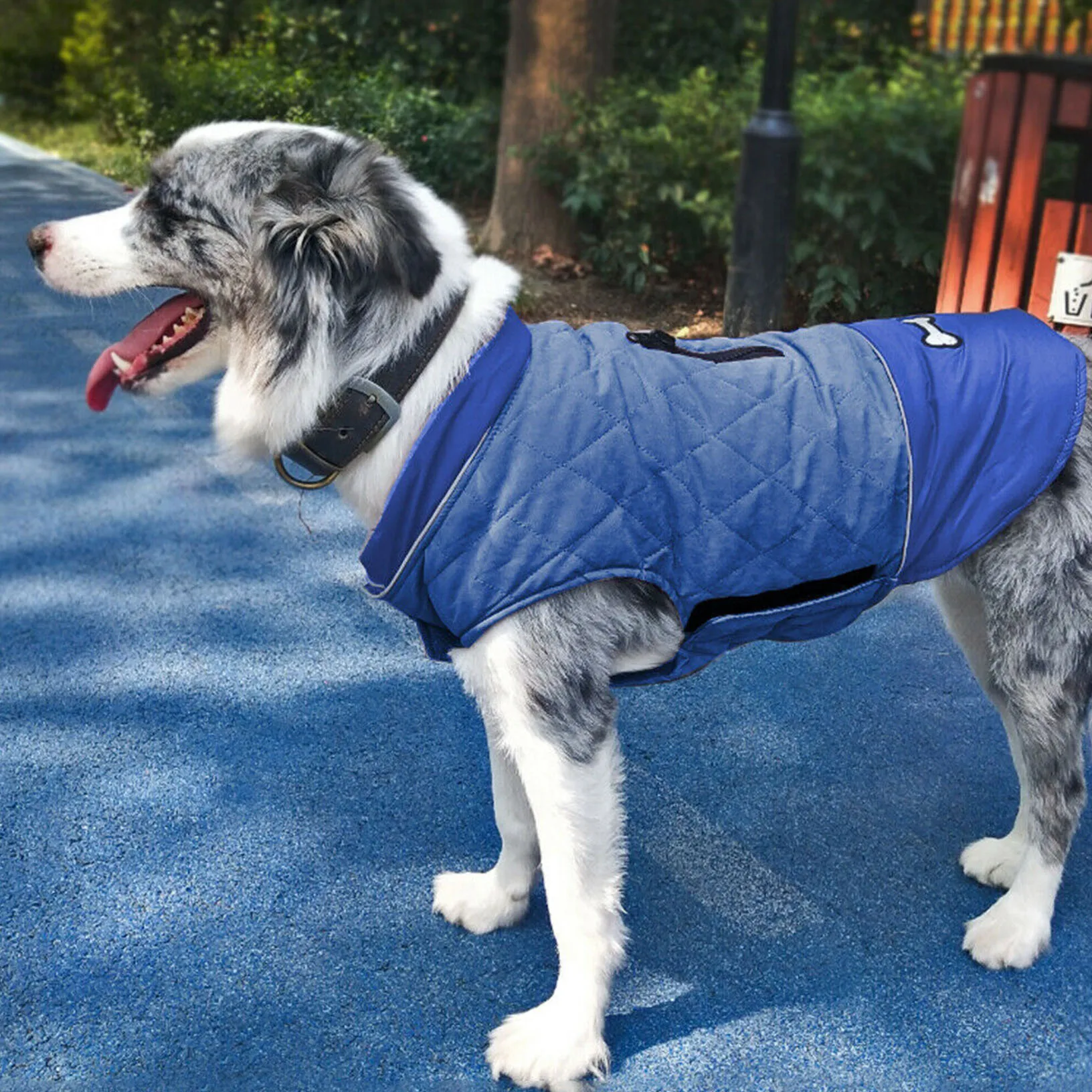 Зимнее пальто для собак Водонепроницаемый Pet куртка одежда собаки йоркширского