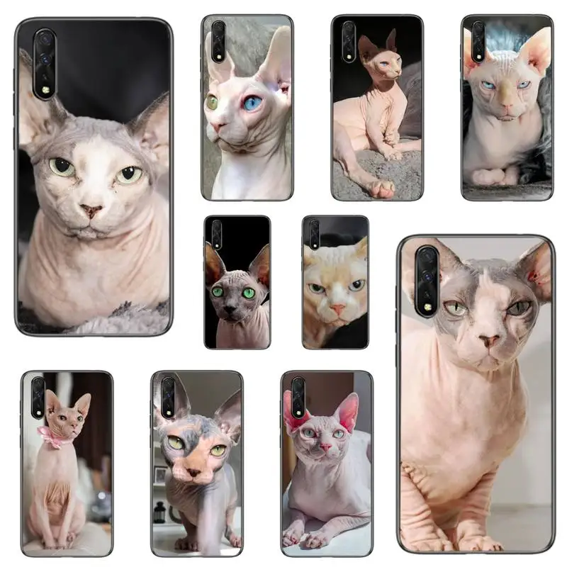 

Animal Sphynx Hairless cat Phone Case For Redmi 8A 9A 10X Note 8 8t 9 Pro Max 10 K20 K30 Pro Cover