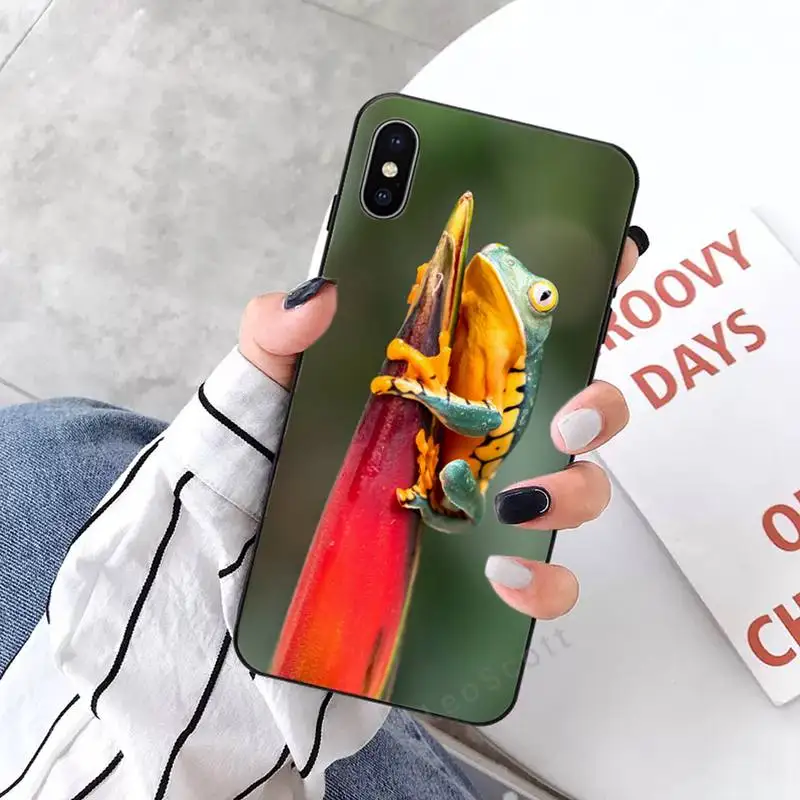 

Tree frog Phone Case for iPhone 11 12 mini pro XS MAX 8 7 6 6S Plus X 5S SE 2020 XR