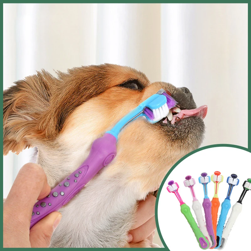 

Pet supplies three-head toothbrush