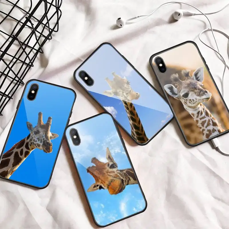 

Zebra Giraffe cute animal Long neck Phone Case Tempered glass For iphone 6 7 8 plus X XS XR 11 12 13 PRO MAX mini