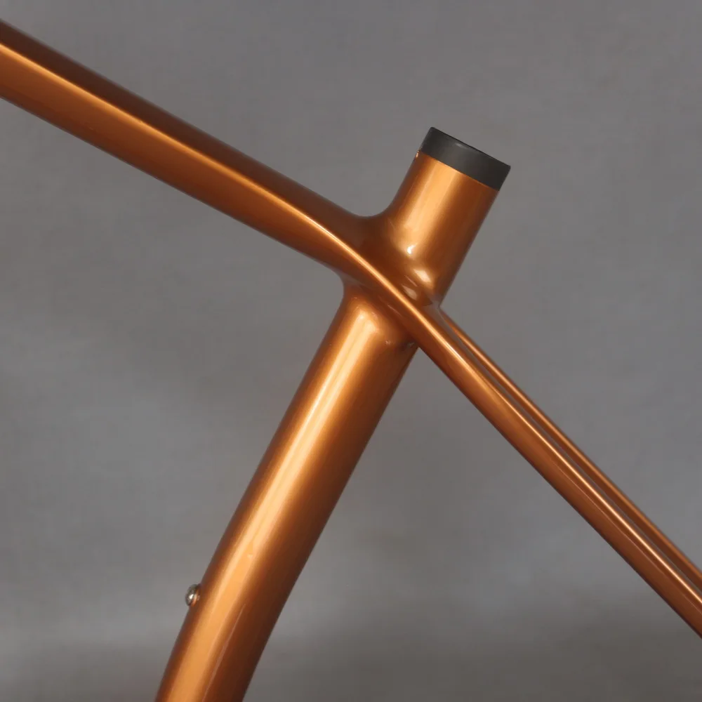 Плоский дисковый тормоз Жесткий хвост краска на заказ углеродное волокно T800 MTB