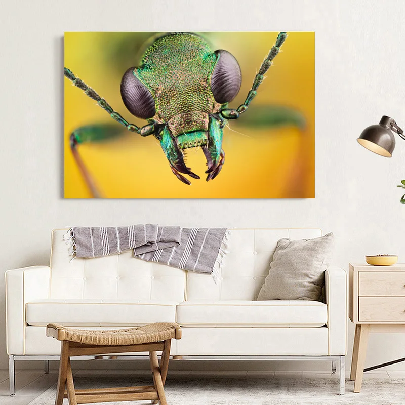 Животные Жуки насекомое макро обои плакаты и принты холст настенная живопись для