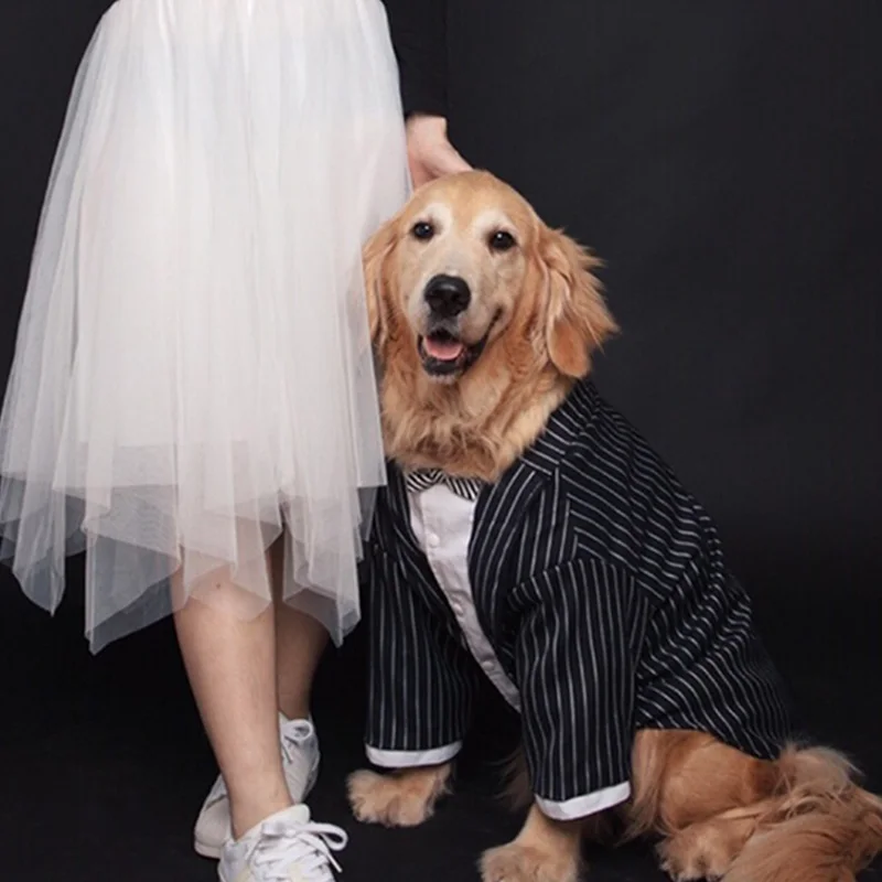 Новый красивый костюм для больших собак полосатый с галстуком-бабочкой одежда 3XL