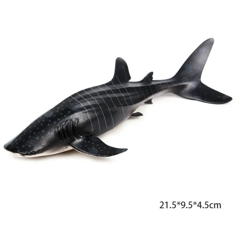 New whale shark Морская модель животного; изображение морской жизни, фигурка акулы, развивающие животные океана, игрушка для детей, Декор, подарок - Цвет: New whale shark