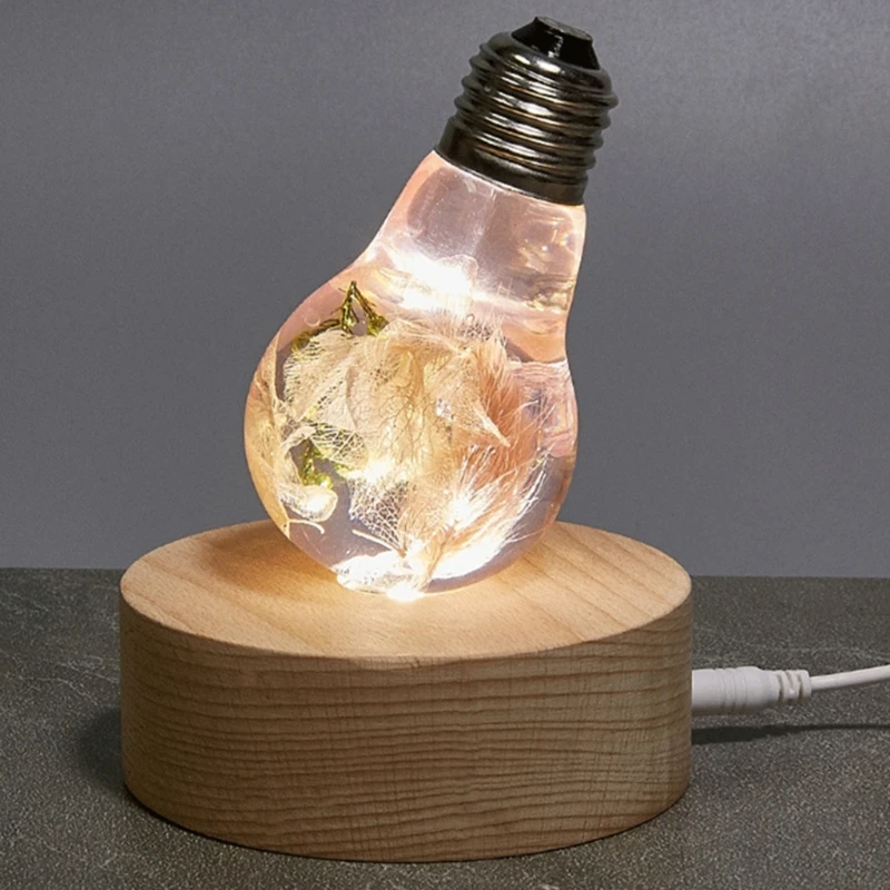 

Lighting Accessories