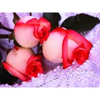 Размер холста 5d Сделай Сам полный квадраткруглая Алмазная картина роза цветок Сделай Сам Алмазная вышивка крестиком украшение для дома