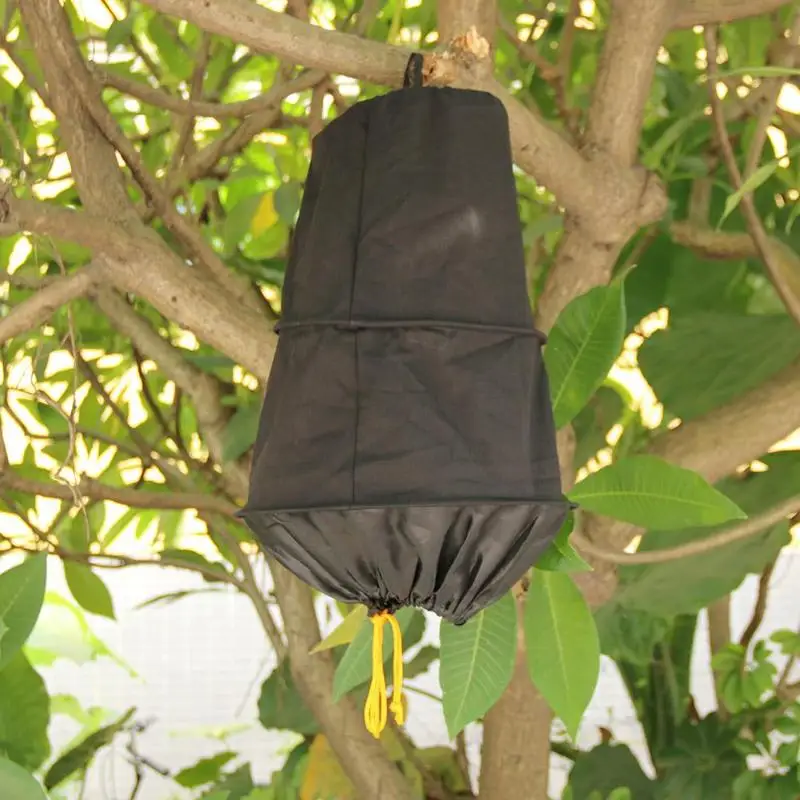 3 слоя пчелиная клетка дикой пчелы набора Пчеловодство инструмента ловли поймать