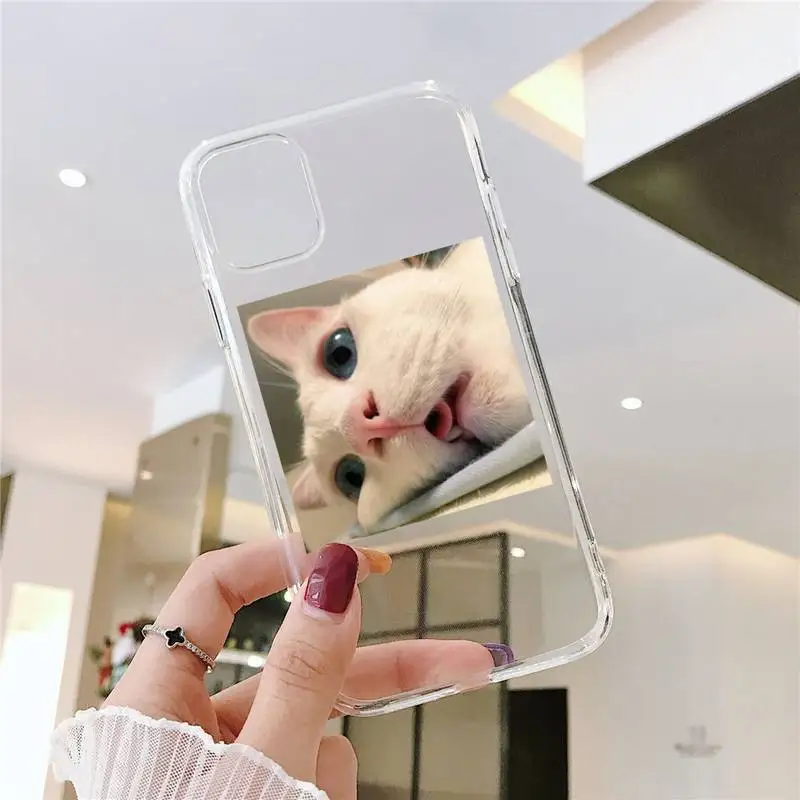 

Cute animal cat art design Phone Case Transparent for iPhone 6 7 8 11 12 s mini pro X XS XR MAX Plus SE cover funda