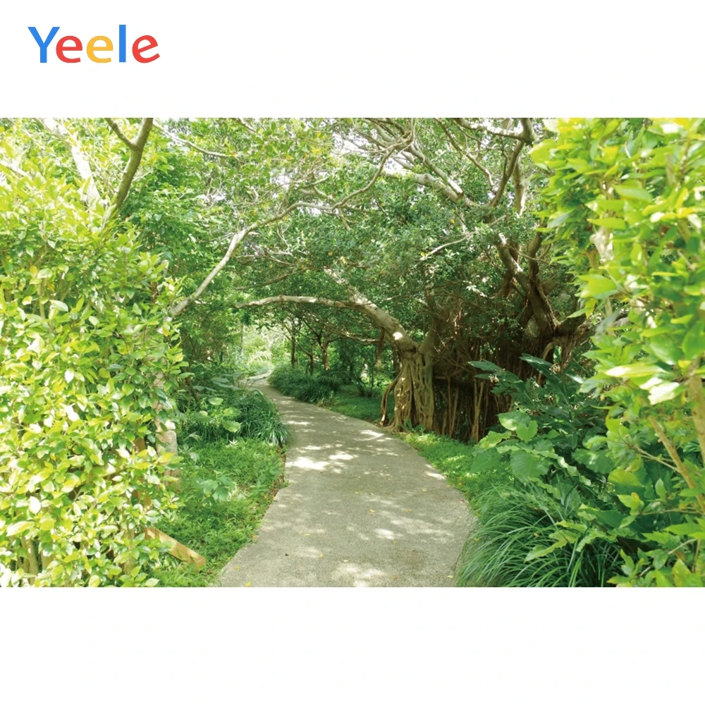 Yeele Весенний лес дерево дорожка пейзаж фотосессия фотография фоны