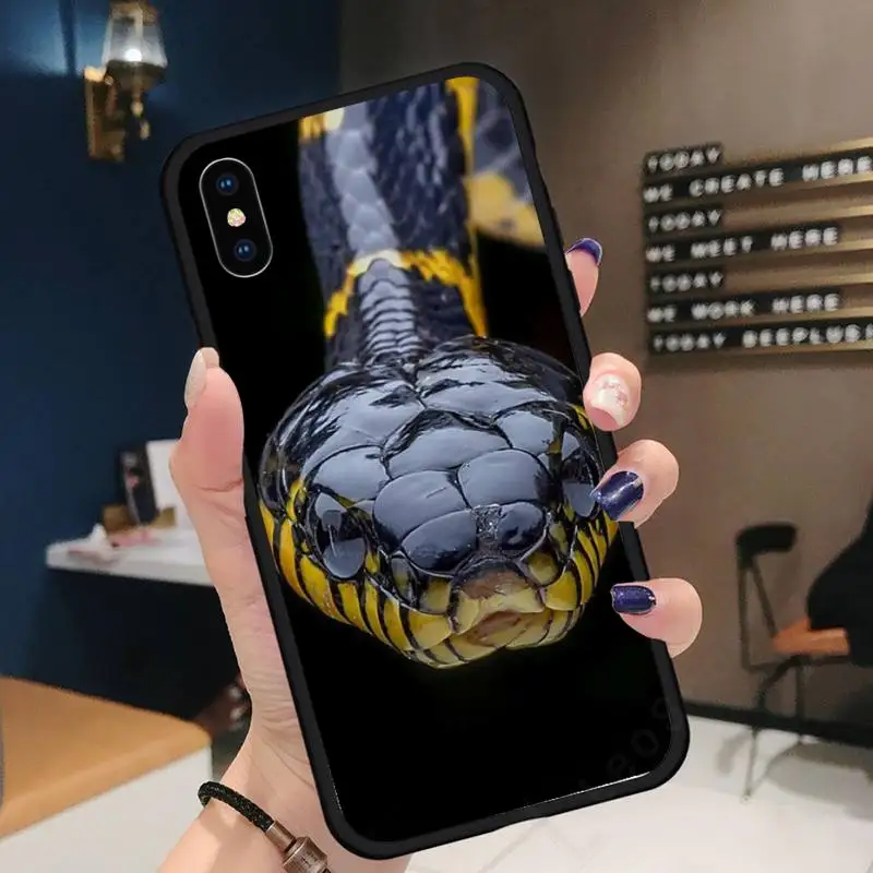 

cobra snake Cold-blooded animal high quality Phone Case funda for iPhone 11 12 pro XS MAX 8 7 6 6S Plus X 5S SE 2020 XR