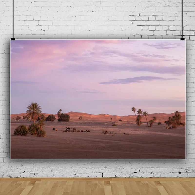 

Backdrops Natural Desert Sand Dunes Sunset Beautiful View Photography Backgrounds Photo Backdrops Photocall Photo Studio