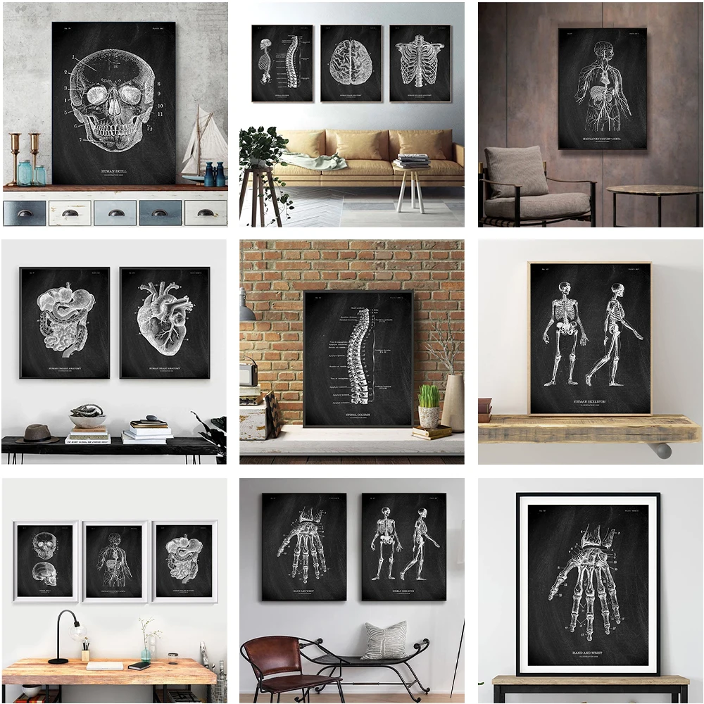 

Black And White Lines Human Anatomy Posters Hospital Art Murals Canvas Wall Art Decorative Pictures Painting Room Decor