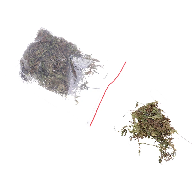 10 г сухой мох Садовые принадлежности увлажняющее питание органическое удобрение