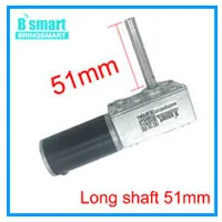 Bringsmart 12 В двойной вал DC Мотор Червячный редуктор высокий крутящий момент 70кг. См 24 вольт двигатель D вал червячный редуктор Реверсивный
