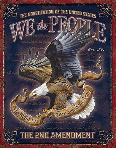 

Отчаянные предприятия We The People-2-е предложение жестяной знак, 12,5 дюйма Ш x 16 дюймов в