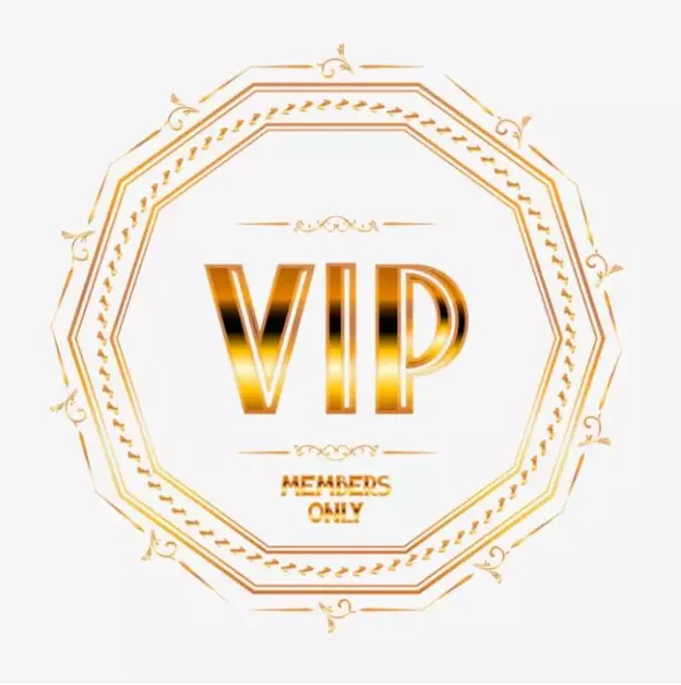 

25pcs 48x140mm VIP Link