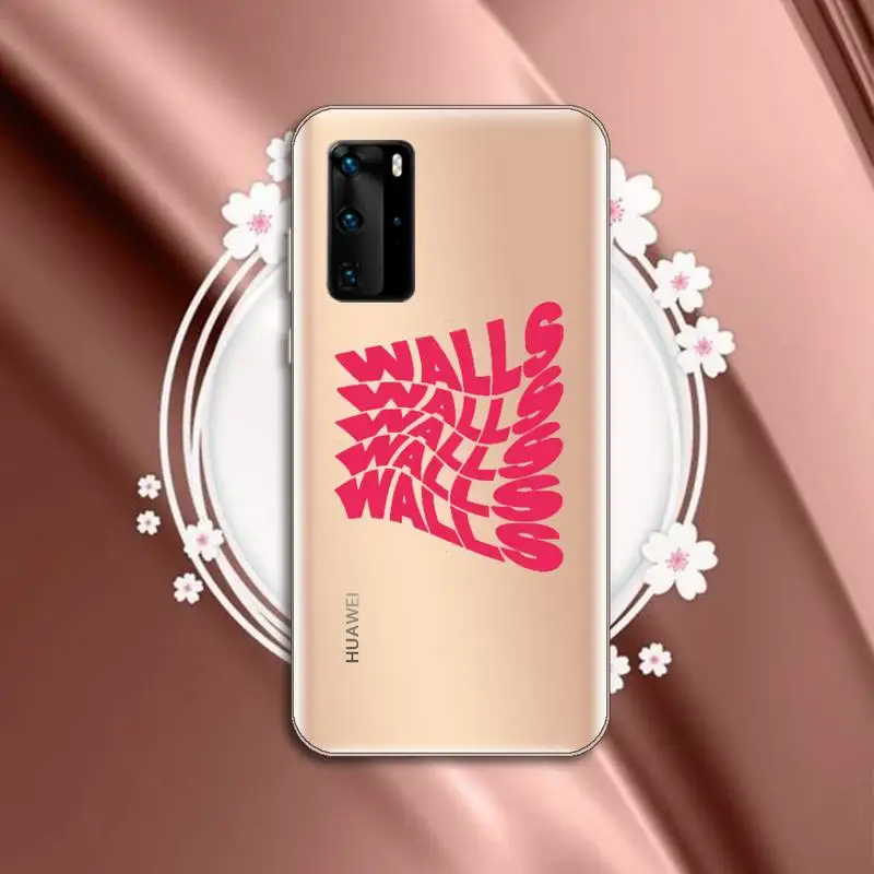

One Direction Louis Tomlinson Phone Case Transparent for Huawei P20 P30 P40 lite pro P smart 2019 honor 8x 10i