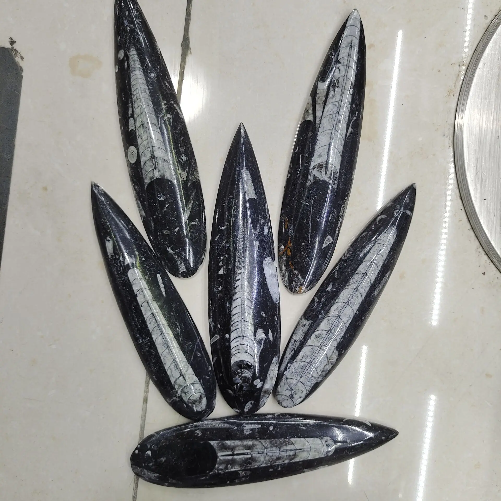 

1pcs 7-10cm 15-17cm Natural right Angle fossil Crystal Specimen Rare Polished Collectible natural stones and minerals
