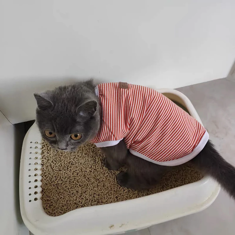 

Spring Summer Cat Clothes Cotton Striped Vest Pet Cat T Shirt Clothing for Small Cat Outfit Cute Kitten Puppy Dog Costumes