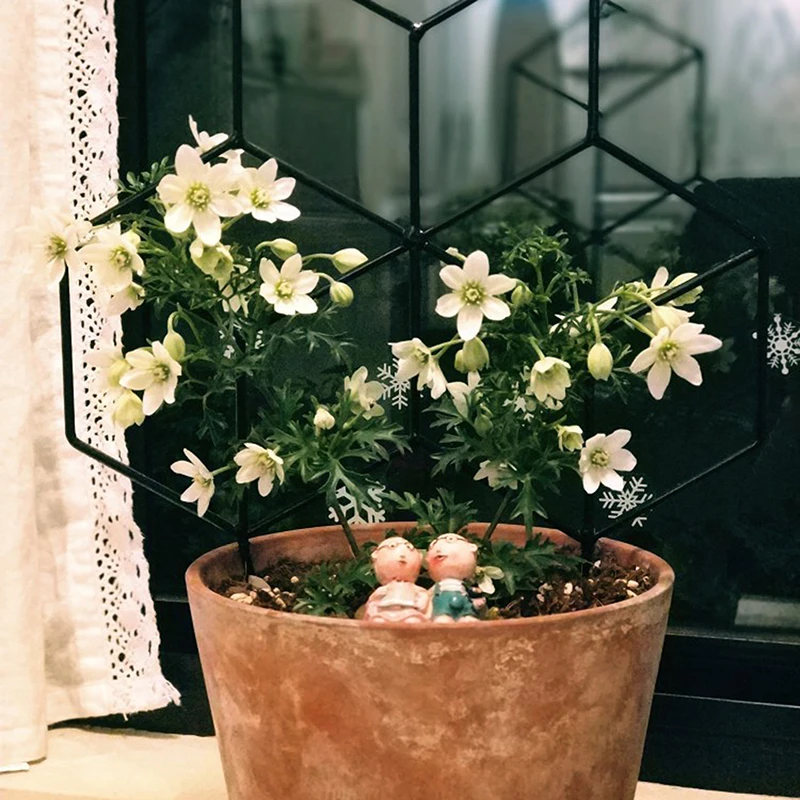 Железная решетка для ограждения растений|Детские горшки| |