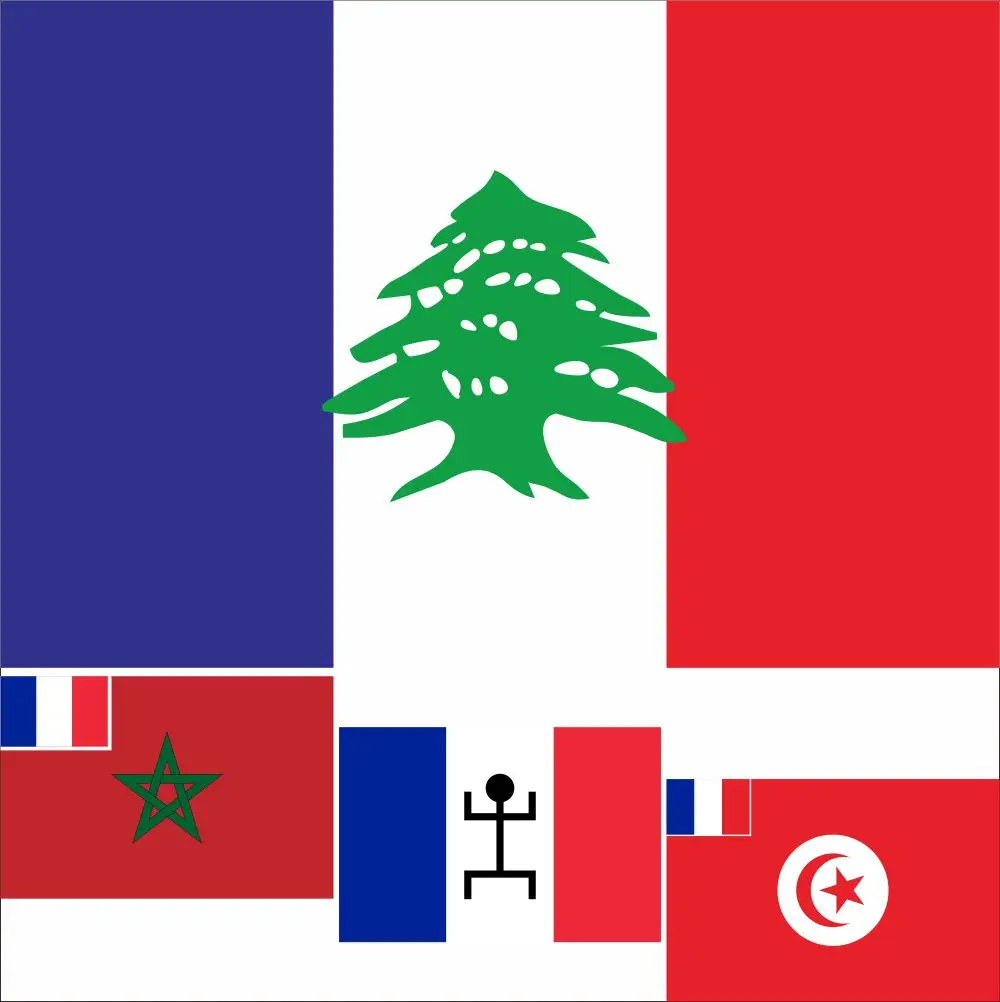 

40 France French Overseas Colonies FLAG 3X5FT 100D Polyester Double Stitched High Quality Lebanese1920 Banner