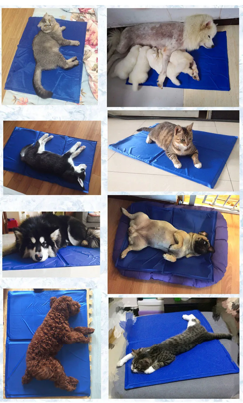 Pawstrip 3 размера гелевый охлаждающий коврик для питомца собаки летняя кровать для собаки для чихуахуа Йоркского самоохлаждающегося кота кровати