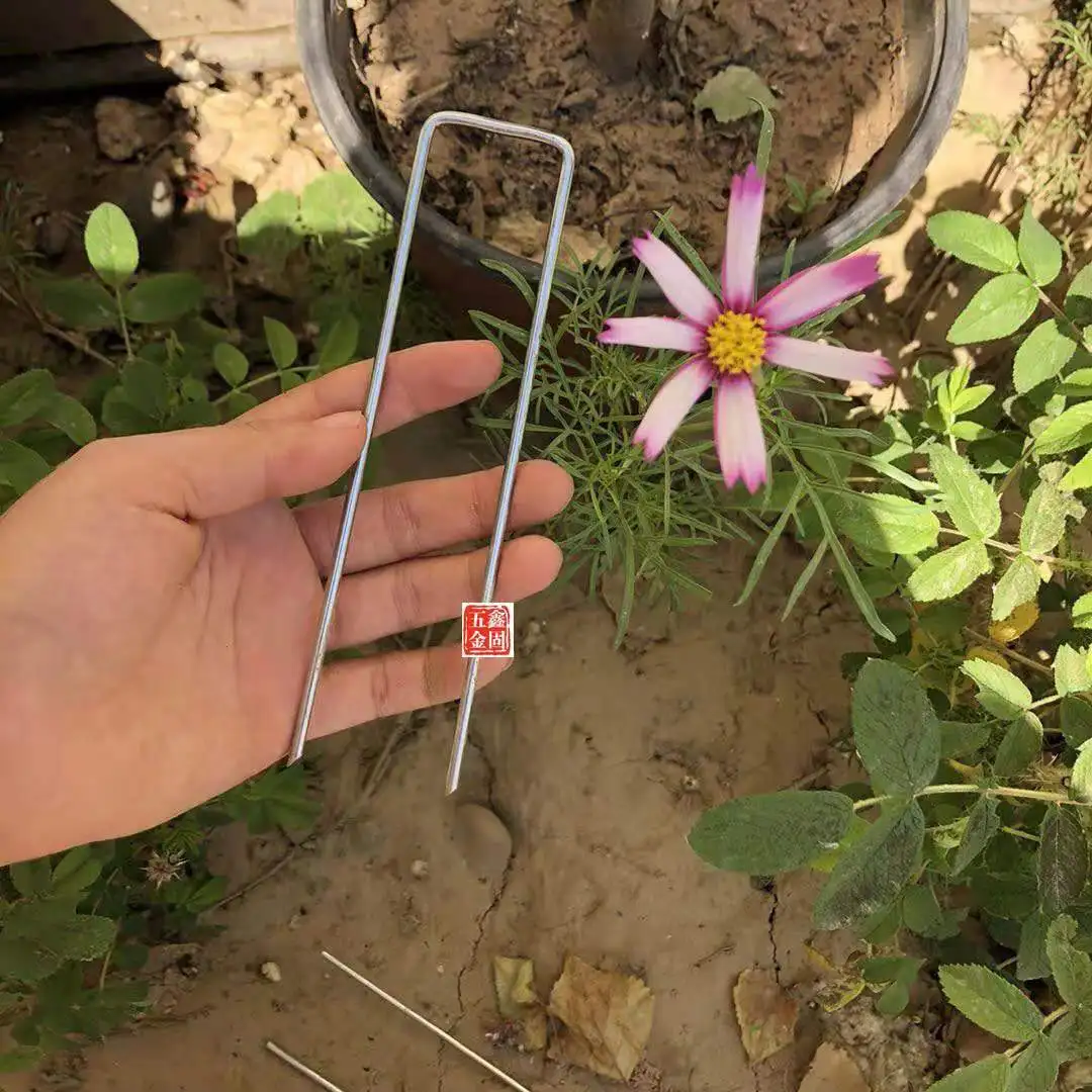 Оцинкованные скобы для скота | Обустройство дома