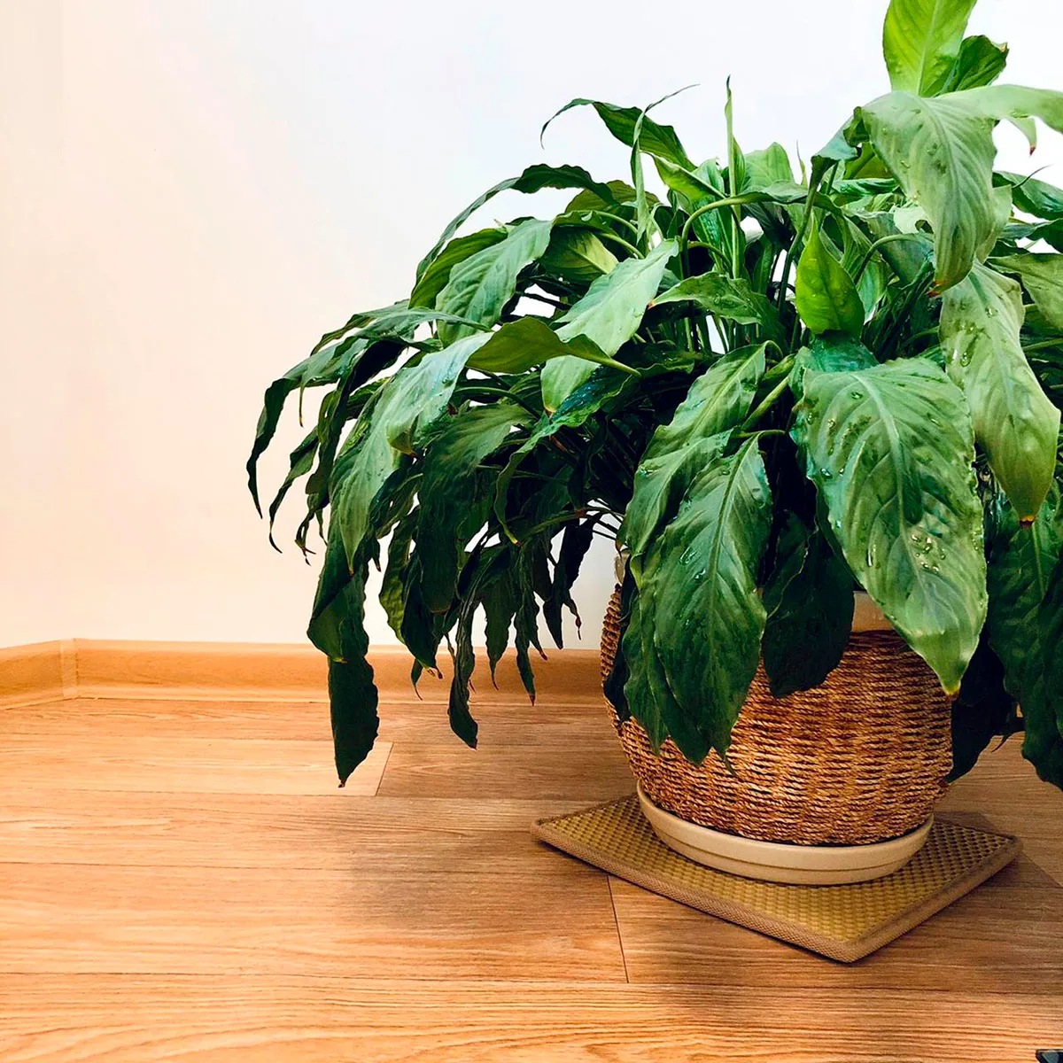 Подставка для цветочных садов и садовых горшков держатели цветов напольный