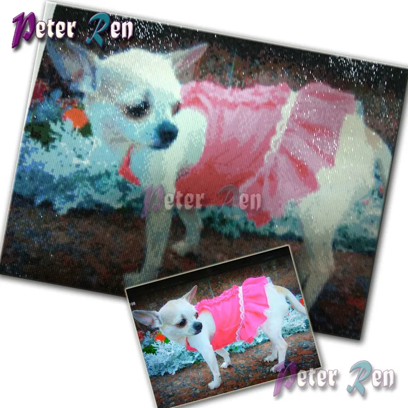 Алмазная живопись 5d с животными дельфин прыгающая вышивка