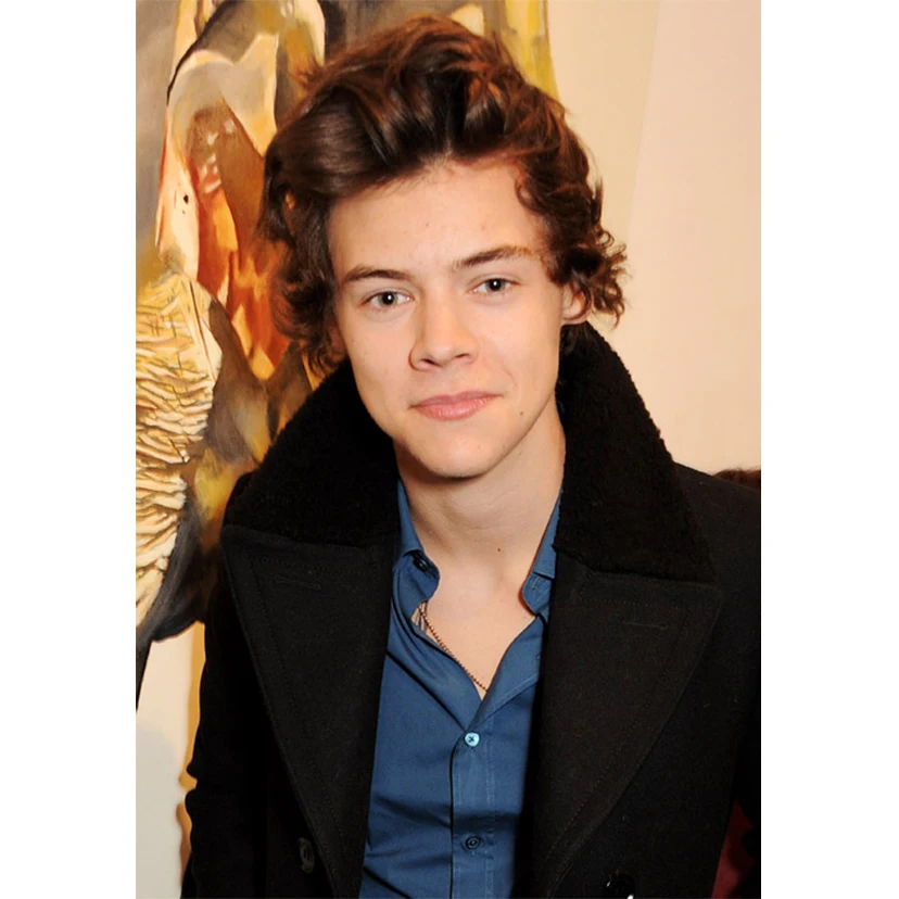 

5D DIY New Full square/round diamond painting Harry Styles embroidery singer set cross stitch mosaic Home decoration Art