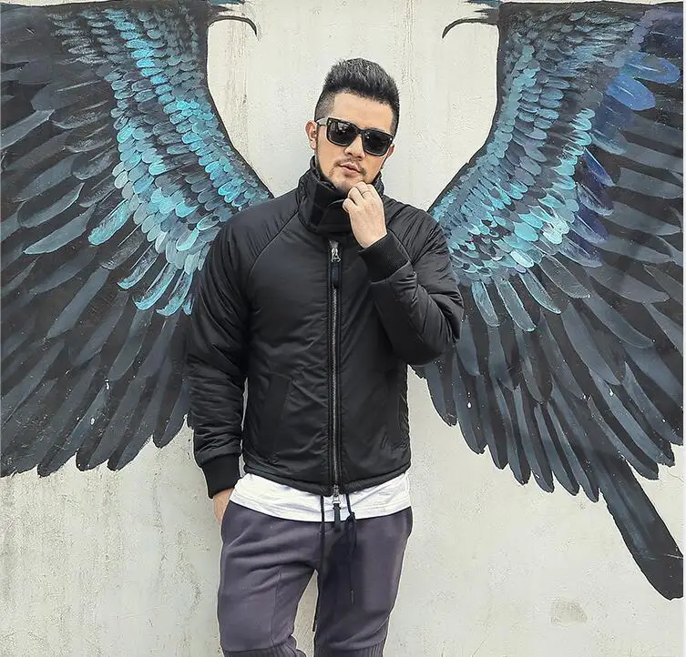 Осень и зима новый высокий стоячий воротник дизайн черный Мужская хлебная Одежда