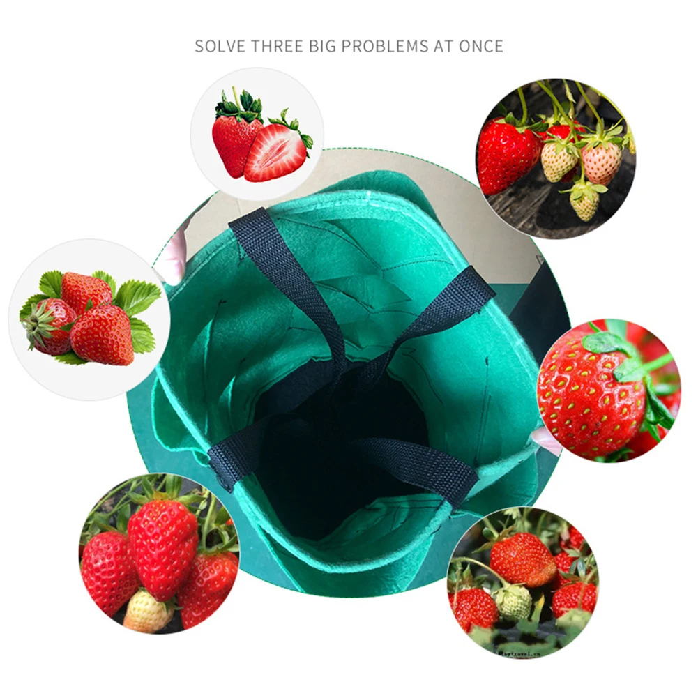 3 Gallon Strawberry Planting Growing Bag Multi-Mouth Plant Pot Container Pouch | Дом и сад