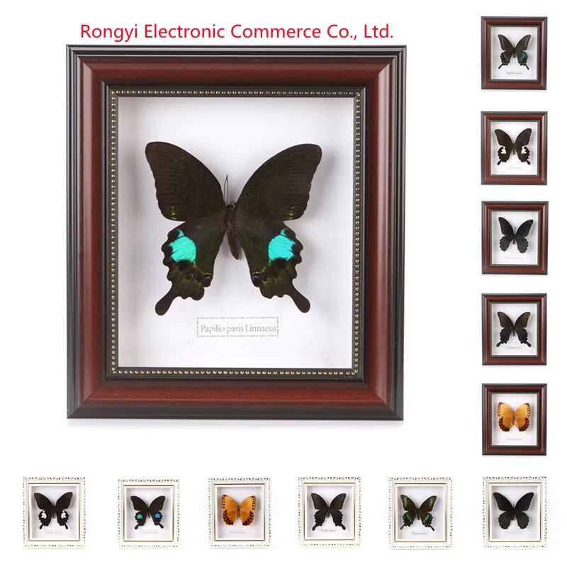 

Beautiful Butterfly Specimen Educational Material Collection/Butterfly Specimen Photo Frame Artwork Decoration Home Decoration